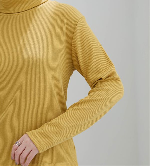 BELLUNA（ベルーナ）の「まるでニット！サラッと軽いリブハイネックプルオーバー（カットソー）」｜詳細画像
