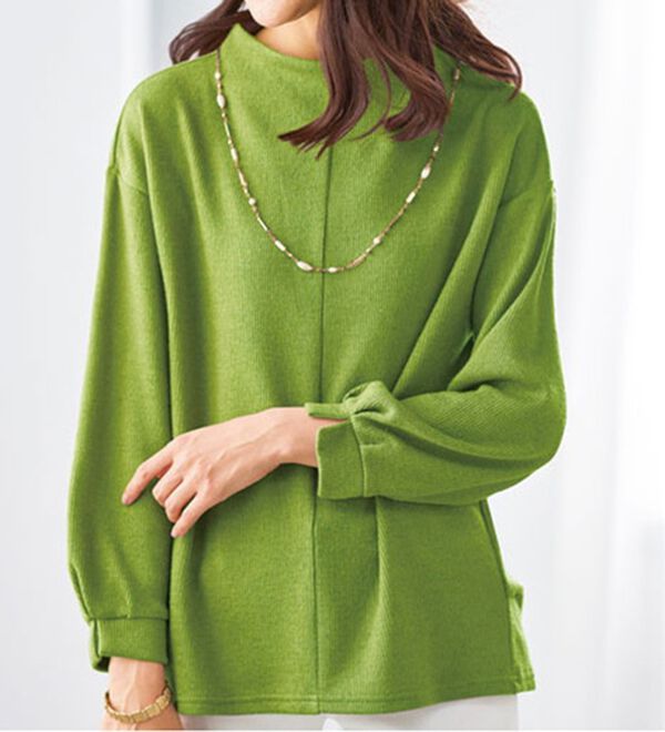 BELLUNA（ベルーナ）の「タック使いボトルネックプルオーバー（カットソー）」｜詳細画像