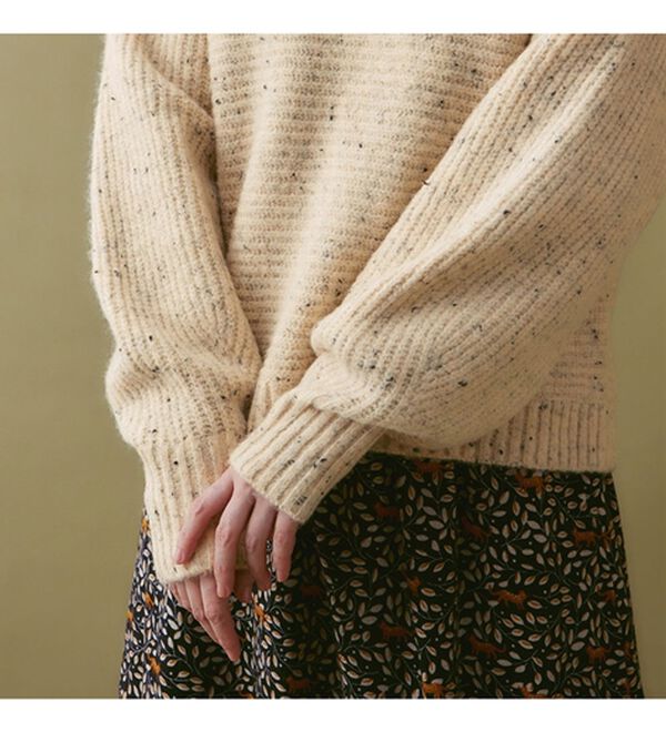 Viola e Viola（ヴィオラ エ ヴィオラ）の「もっちりネップ柄ニットの衿付きトップス（ニット・セーター）」｜詳細画像