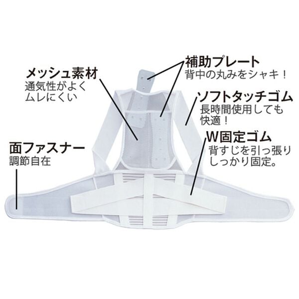「背すじ補正コルセット（サポーター・肩腰膝ケア）」｜詳細画像