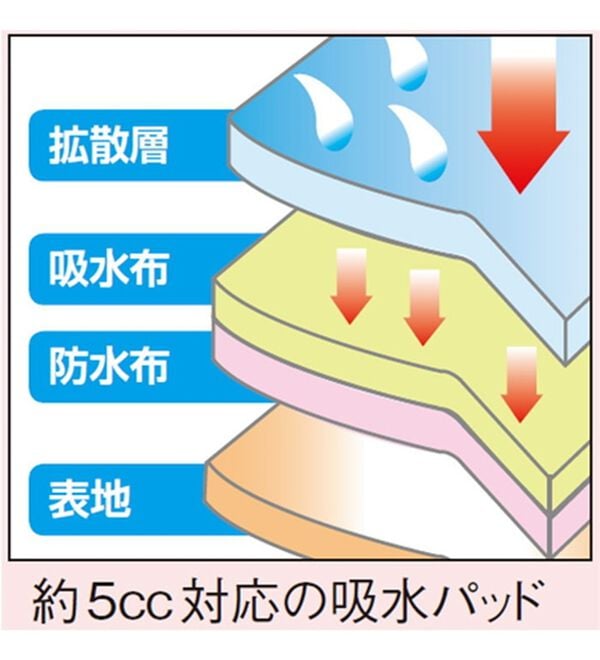 「エチケットショーツ（ショーツ）」｜詳細画像