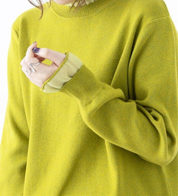 BELLUNA（ベルーナ）の「衿＆袖シアーニット使いプルオーバー（ニット・セーター）」｜詳細画像