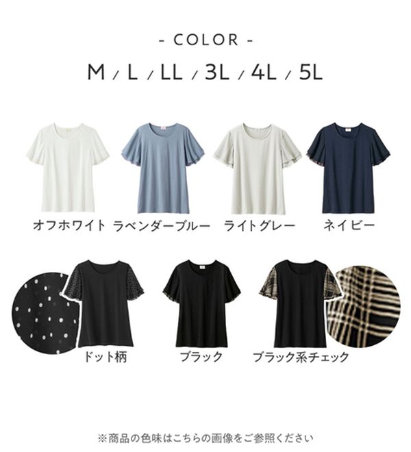 Viola e Viola（ヴィオラ エ ヴィオラ）の「【５つの機能付】袖シフォンゆるＴシャツ（Tシャツ）」｜詳細画像