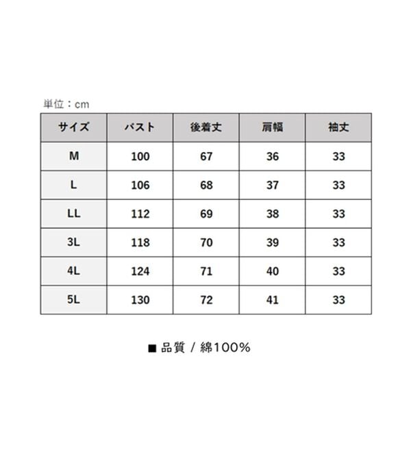 BELLUNA（ベルーナ）の「さらっと快適！Tシャツ見えブラウス（ブラウス）」｜詳細画像