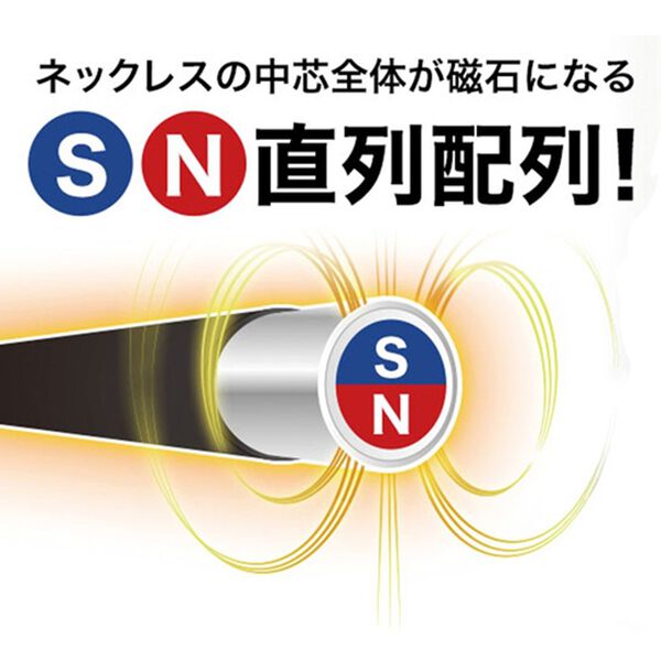 「＜ファイテン＞ＲＡＫＵＷＡ磁気チタンネックレス　メタルトップ（その他美容・健康機器）」｜詳細画像