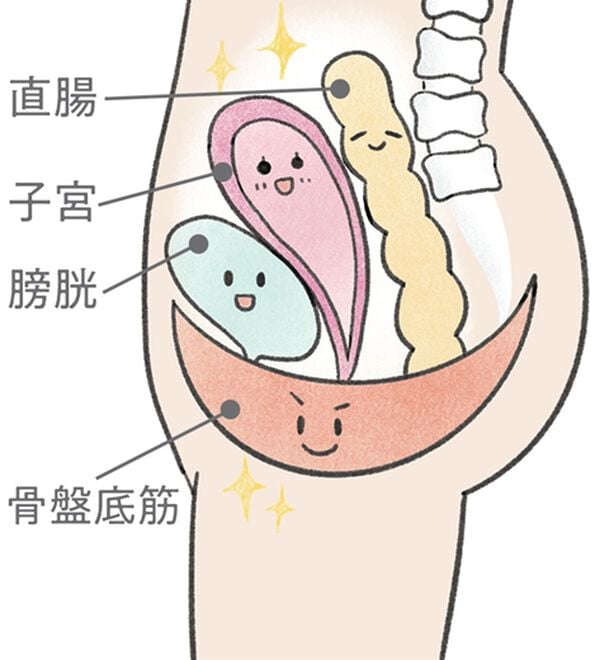 「【プリマベル】骨盤底筋ケアショーツ（安心ショーツ）」｜詳細画像