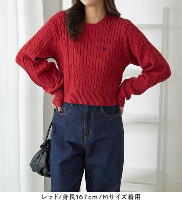 Viola e Viola（ヴィオラ エ ヴィオラ）の「【ビバリーヒルズポロクラブ】ケーブル柄ショートニット（ニット・セーター）」｜詳細画像