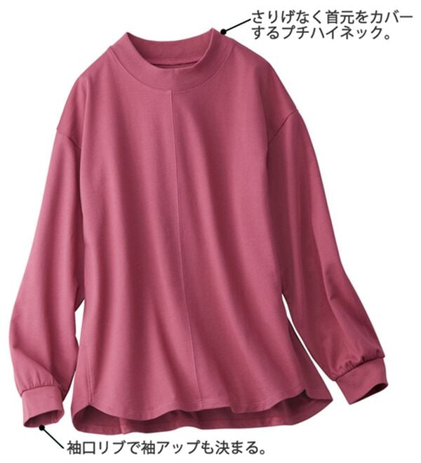 BELLUNA（ベルーナ）の「【２枚セット】大人カジュアルプルオーバー（カットソー）」｜詳細画像