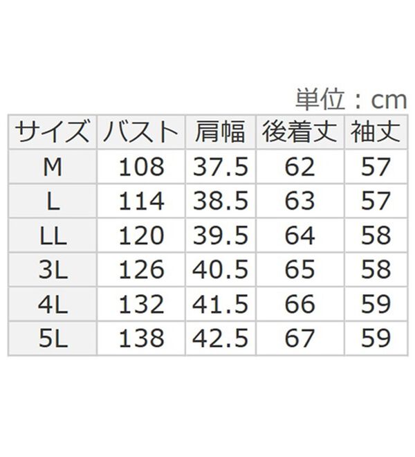 BELLUNA（ベルーナ）の「大人のコットン素材チェック切替ブラウス（ブラウス）」｜詳細画像