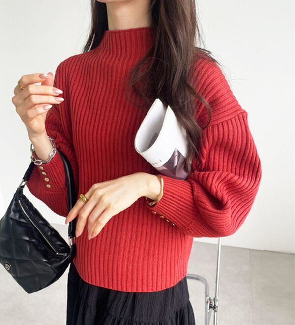 GeeRA（ジーラ）の「袖ボタンボトルネックリブニット（ニット・セーター）」｜詳細画像