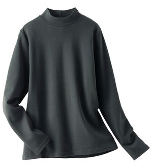 BELLUNA（ベルーナ）の「《ＨｕｇＲｅａｍコットン》裏起毛暖かハイネックプルオーバー（カットソー）」｜ブラック