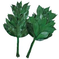 「天然榊のプリザーブド（一対）（仏壇・仏具）」