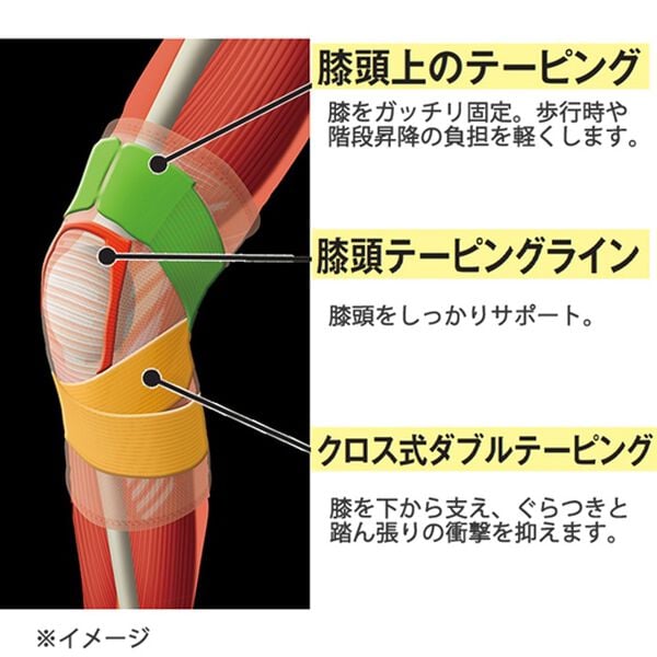 「膝をグッと固めて楽らくサポーター　２枚組（サポーター・肩腰膝ケア）」｜詳細画像