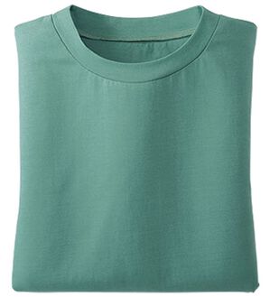 BELLUNA（ベルーナ）の「綿１００％抗菌防臭汗ジミ対策プルオーバー（カットソー）」｜ターコイズグリーン