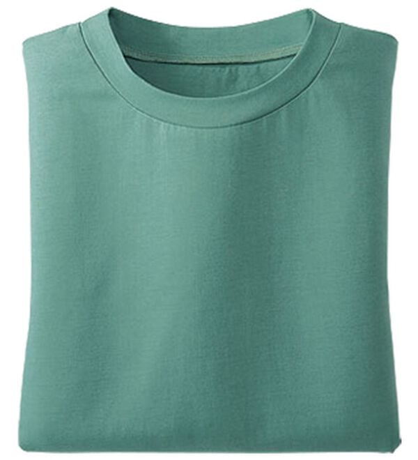 BELLUNA（ベルーナ）の「綿１００％抗菌防臭汗ジミ対策プルオーバー（カットソー）」｜ターコイズグリーン