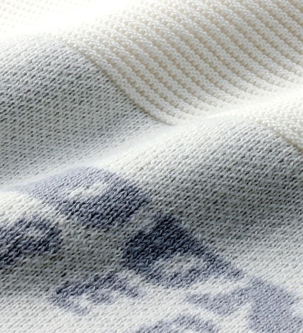 「＜ダンロップ・リファインド＞パネルボーダージャカードセーター（メンズニット・セーター）」｜詳細画像