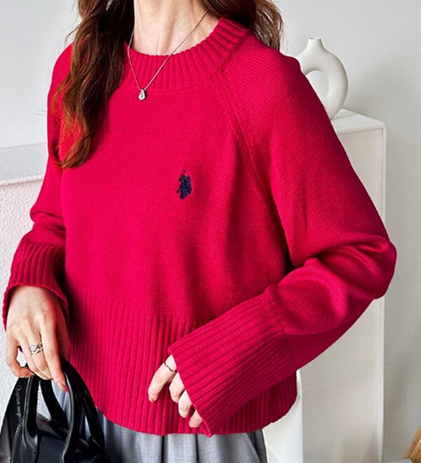 GeeRA（ジーラ）の「【ＵＳ．ＰＯＬＯ　ＡＳＳＮ】ショート丈ニット（ニット・セーター）」｜詳細画像