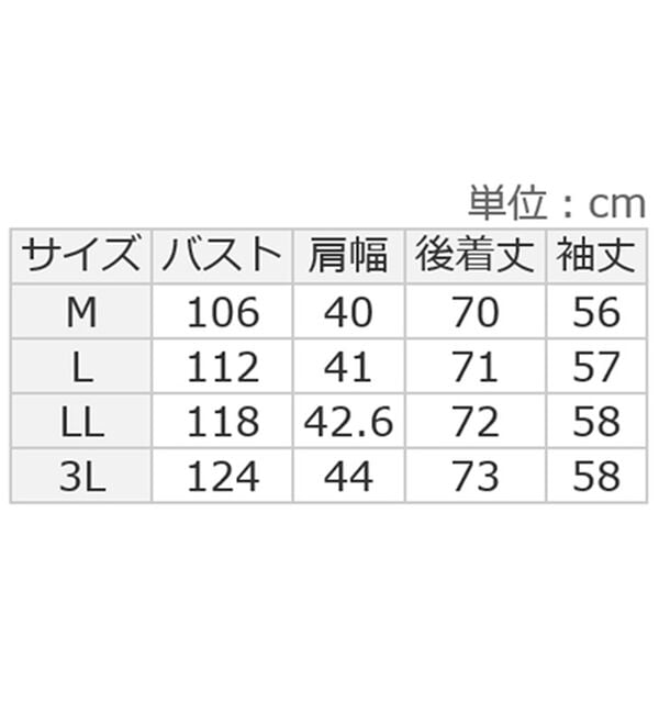 ルフラン（ルフラン）の「【２色組】【ＰＯＬＯ　ＢＣＳ】柔らかネル素材ブラウス（ブラウス）」｜詳細画像