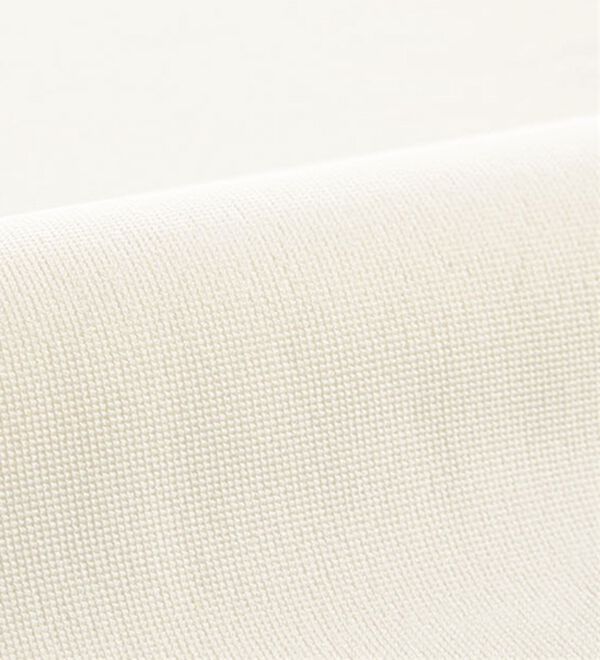 BELLUNA（ベルーナ）の「袖ボリュームタックプルオーバー（カットソー）」｜詳細画像