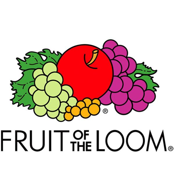 BELLUNA（ベルーナ）の「【ＦＲＵＩＴ　ＯＦ　ＴＨＥ　ＬＯＯＭ】レトロロゴビックＴシャツ（カットソー）」｜詳細画像