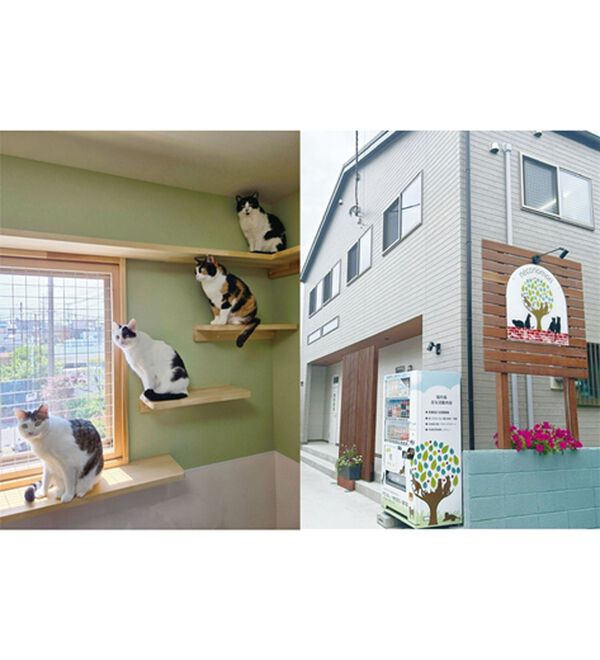 ルフラン（ルフラン）の「【２色組】「猫の毛が落ちやすい」ジャンパースカート（カットソーワンピース）」｜詳細画像