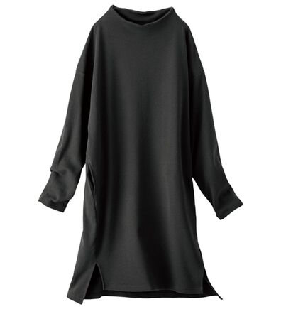 BELLUNA（ベルーナ）の「《ＨｕｇＲｅａｍコットン》ボトルネックチュニック（チュニック）」