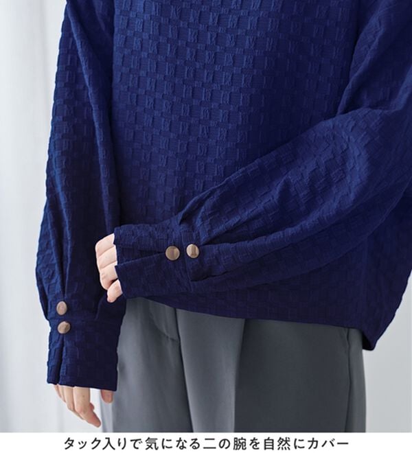 Viola e Viola（ヴィオラ エ ヴィオラ）の「ふくれジャカード素材ふんわり袖トップス（カットソー）」｜詳細画像
