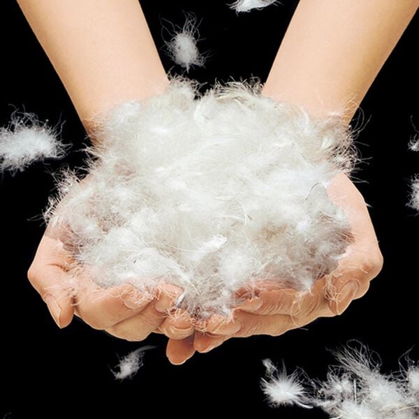 「洗えるホワイトダックダウン羽毛肌布団（掛布団）」｜詳細画像