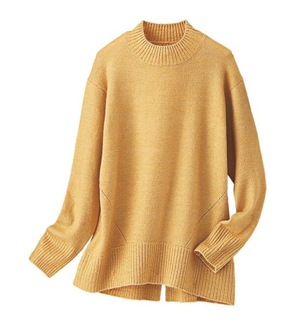 BELLUNA（ベルーナ）の「ラメニット素材ベーシックプルオーバー（ニット・セーター）」｜詳細画像