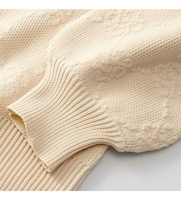 alotta（アロッタ）の「ふくれジャカードスポンジニット（ニット・セーター）」｜詳細画像