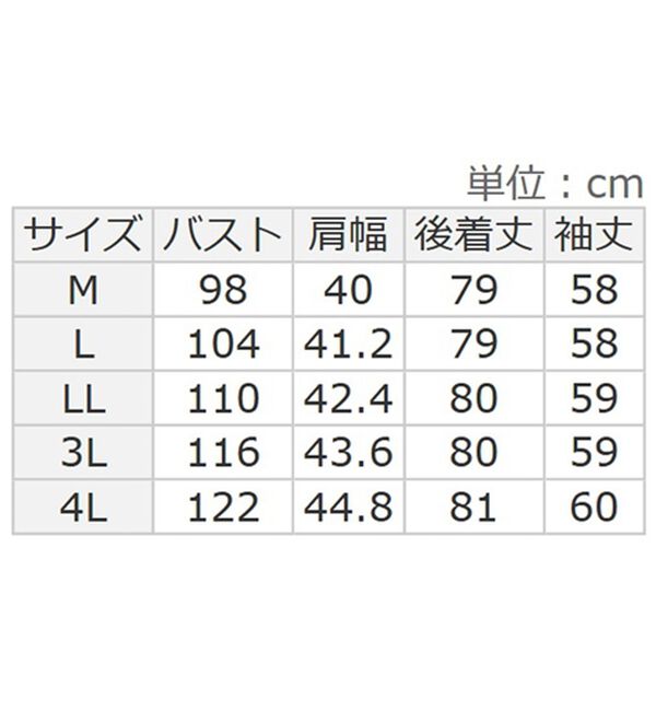 BELLUNA（ベルーナ）の「麻調素材タックデザインシャツチュニック（チュニック）」｜詳細画像