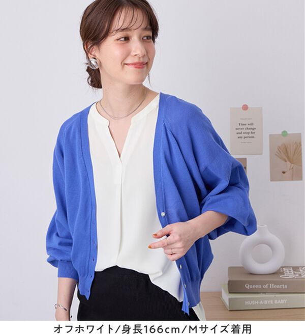 Viola e Viola（ヴィオラ エ ヴィオラ）の「さらさらＥＡＳＹスキッパーフレンチスリーブブラウス（ブラウス）」｜詳細画像