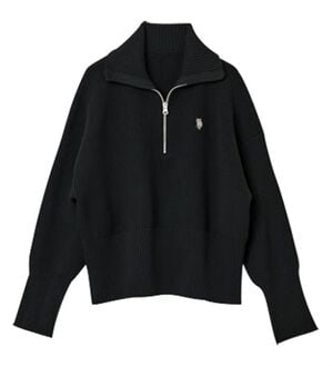 RANAN（ラナン）の「＜Ｕ．Ｓ．ＰＯＬＯ．ＡＳＳＮ＞ハーフジッププルオーバー（ニット・セーター）」｜詳細画像