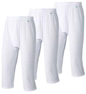 「【３枚組】＜クロコダイル＞爽風（Ｒ）麻入りステテコ（メンズ肌着・インナーウェア）」｜ホワイト