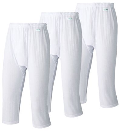 「【３枚組】＜クロコダイル＞爽風（Ｒ）麻入りステテコ（メンズ肌着・インナーウェア）」