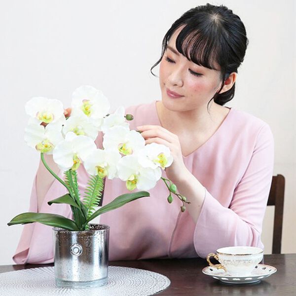 「人感センサーライト付グラス胡蝶蘭（照明・ライト）」｜詳細画像