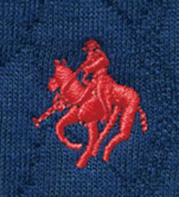 BELLUNA（ベルーナ）の「【ＰＯＬＯ　ＢＣＳ】ジャカード素材カーディガン（その他カーディガン）」｜詳細画像