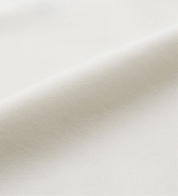 GeeRA（ジーラ）の「【ＵＳ．ＰＯＬＯ．ＡＳＳＮ】汗染み防止ミニＴシャツ（Tシャツ）」｜詳細画像