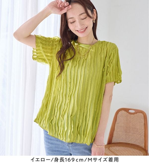 Viola e Viola（ヴィオラ エ ヴィオラ）の「フリルシアー素材ゆるトップス（ブラウス）」｜詳細画像