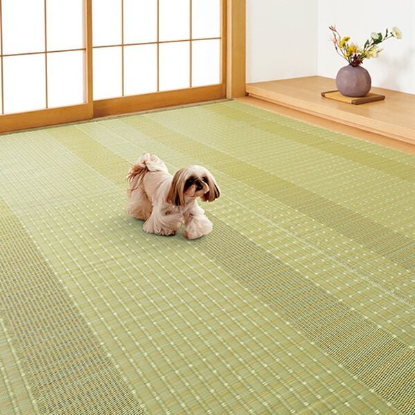 「洗える日本製い草風上敷（カーペット）」｜詳細画像