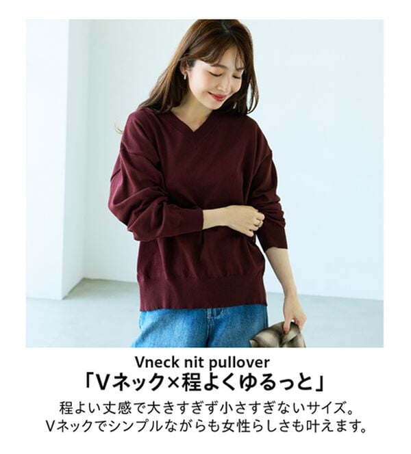 BELLUNA（ベルーナ）の「【快適Ｌａｂ．】スウェットライクＶネックニットプルオーバー（ニット・セーター）」｜詳細画像
