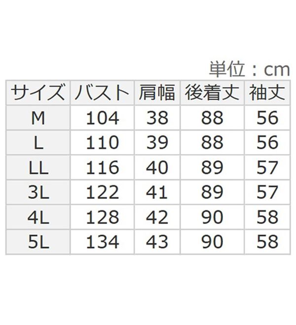 BELLUNA（ベルーナ）の「さりげないドット柄ジャカード切替チュニック（チュニックワンピース）」｜詳細画像