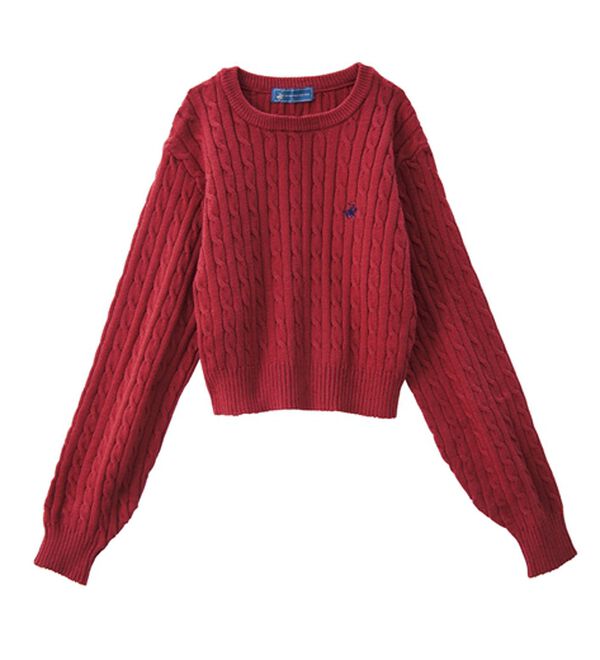 Viola e Viola（ヴィオラ エ ヴィオラ）の「【ビバリーヒルズポロクラブ】ケーブル柄ショートニット（ニット・セーター）」｜詳細画像