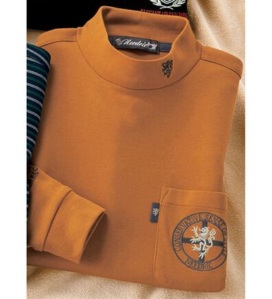 「柔らか素材のブランドハイネックシャツ（メンズカットソー）」