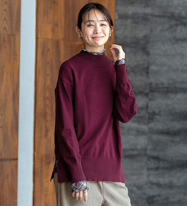 BELLUNA（ベルーナ）の「シアー素材ハイネックインナープルオーバー（カットソー）」｜詳細画像