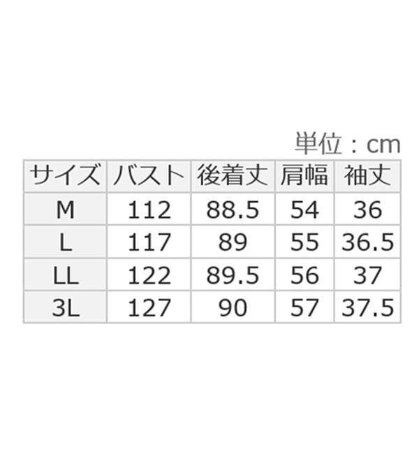 alotta（アロッタ）の「８分袖衿付きスキッパーとろみブラウスチュニックワンピース（チュニックワンピース）」｜詳細画像