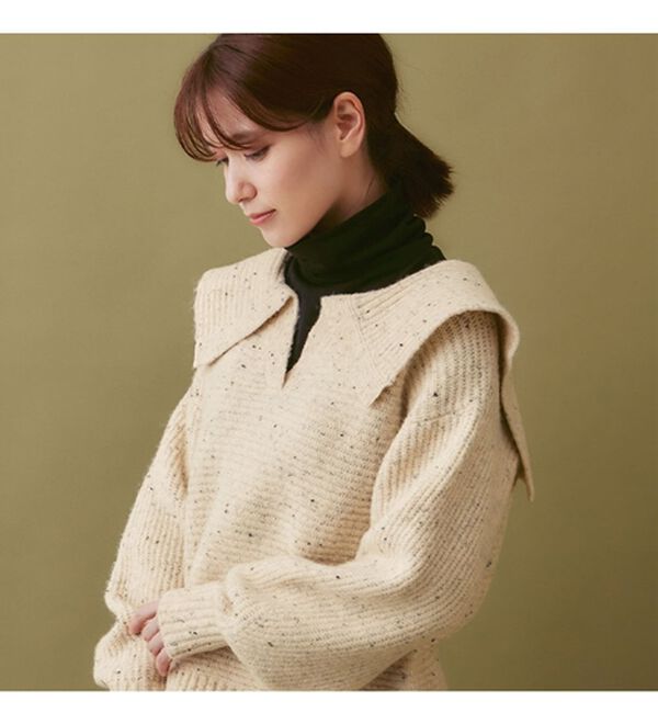 Viola e Viola（ヴィオラ エ ヴィオラ）の「もっちりネップ柄ニットの衿付きトップス（ニット・セーター）」｜詳細画像