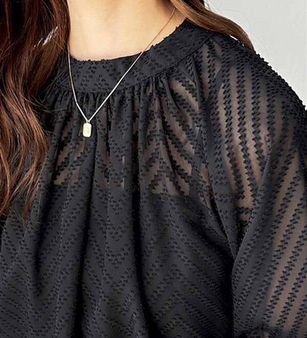 GeeRA（ジーラ）の「シアーシャギージャガードブラウス（ブラウス）」｜詳細画像