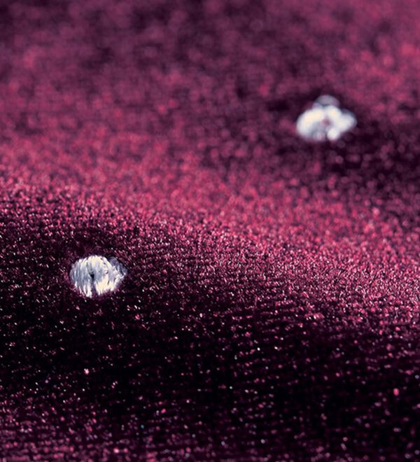 BELLUNA（ベルーナ）の「【Ｌａｇｒｉｌｕａ】ドット刺しゅうベロアレース使いチュニック（チュニック）」｜詳細画像