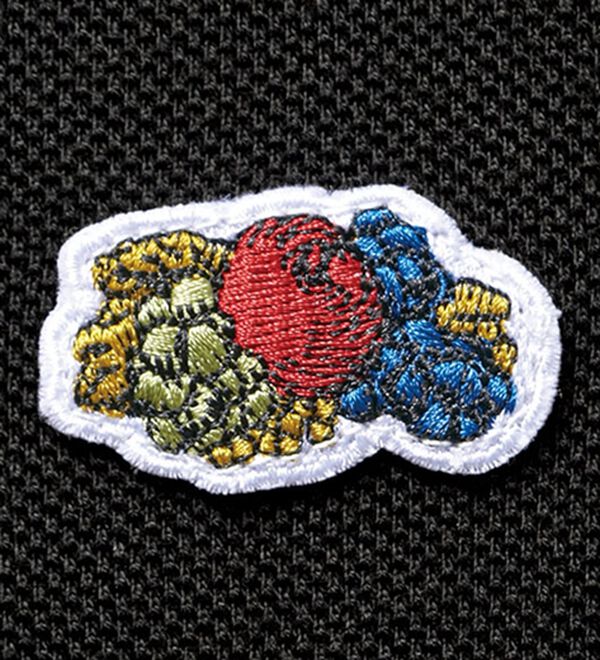 BELLUNA（ベルーナ）の「【ＦＲＵＩＴ　ＯＦ　ＴＨＥ　ＬＯＯＭ】配色ラインポロワンピース（その他ワンピース）」｜詳細画像